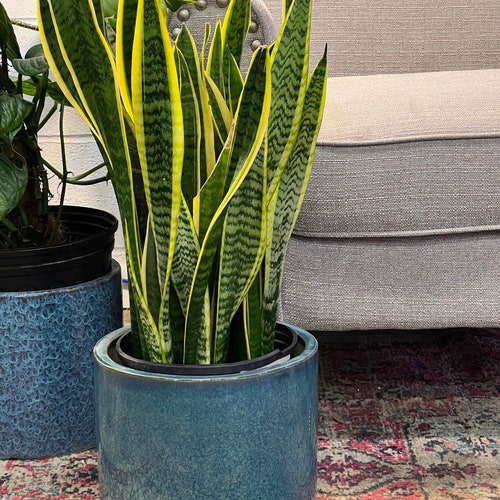 10 inch Planter -Ceramic Planter - mid century modern -  10" Cylinder Pots - Indoor Planter  - Plants not included