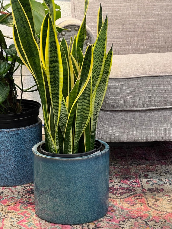 10 Inch Planter -ceramic Planter - Mid Century Modern - 10" Cylinder Pots -  Indoor Planter - Plants Not Included - Etsy Norway
