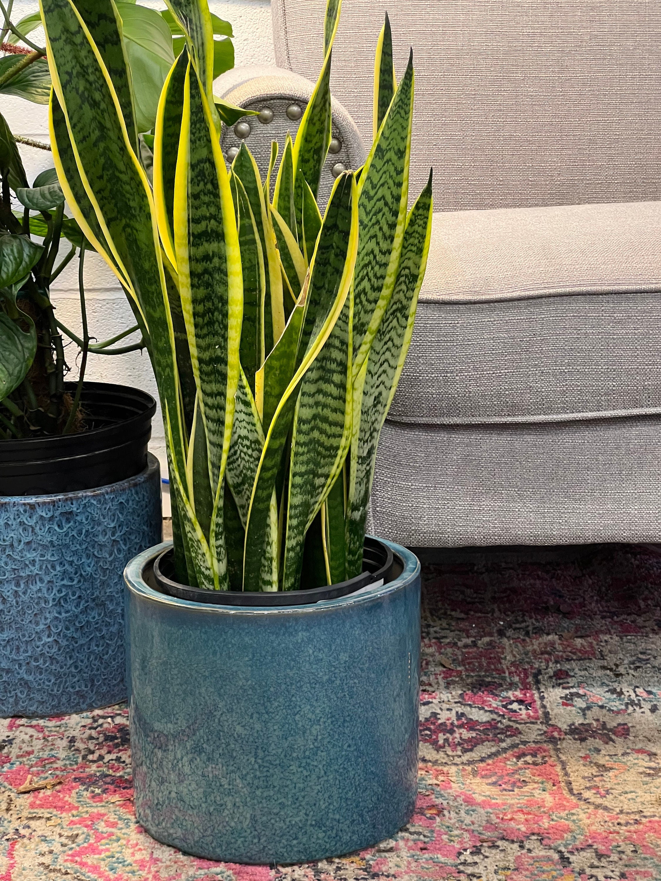 10 Inch Planter -ceramic Planter - Mid Century Modern - 10" Cylinder Pots -  Indoor Planter - Plants Not Included - Etsy
