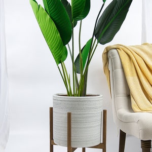 May include: A white planter with a wood stand, featuring a green leafy plant. The planter has a textured, striped design.