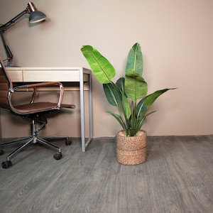 May include: A brown leather office chair with a metal base and wheels sits next to a wooden desk with a silver metal frame. A potted green plant with large leaves sits on the floor next to the desk.