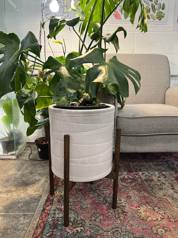 13" Ceramic Planter with UPshining Wood Stand White / Dark Walnut