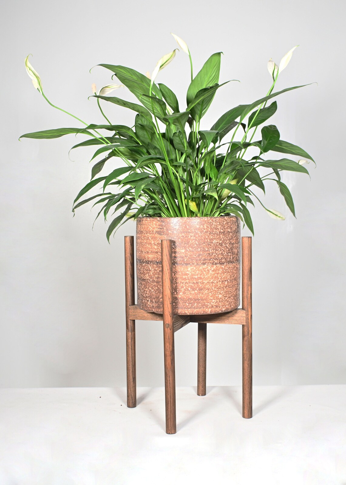 Live Plant Peace Lily With Pot and Stand 10 Ceramic Etsy