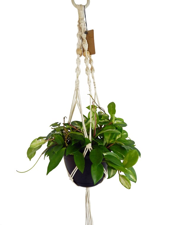 Macrame Plant Hanger/35 inch long/hanging planter flower | Etsy