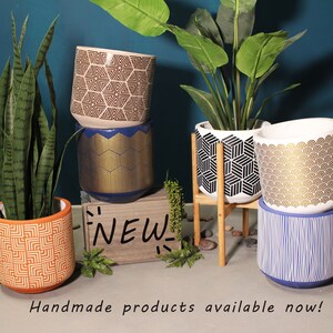 Live Plant Snake Plant Include Pot Gift Set 2 Plants 5 Black and 6'' Gray Ceramic Planters Gift Wrap Box Indoor Planters image 2
