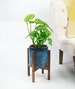 Plant Stand - with Plant Pot - Planter with Stand - Ceramic Pot - White, Black, Grey - Live Plant Not Included 