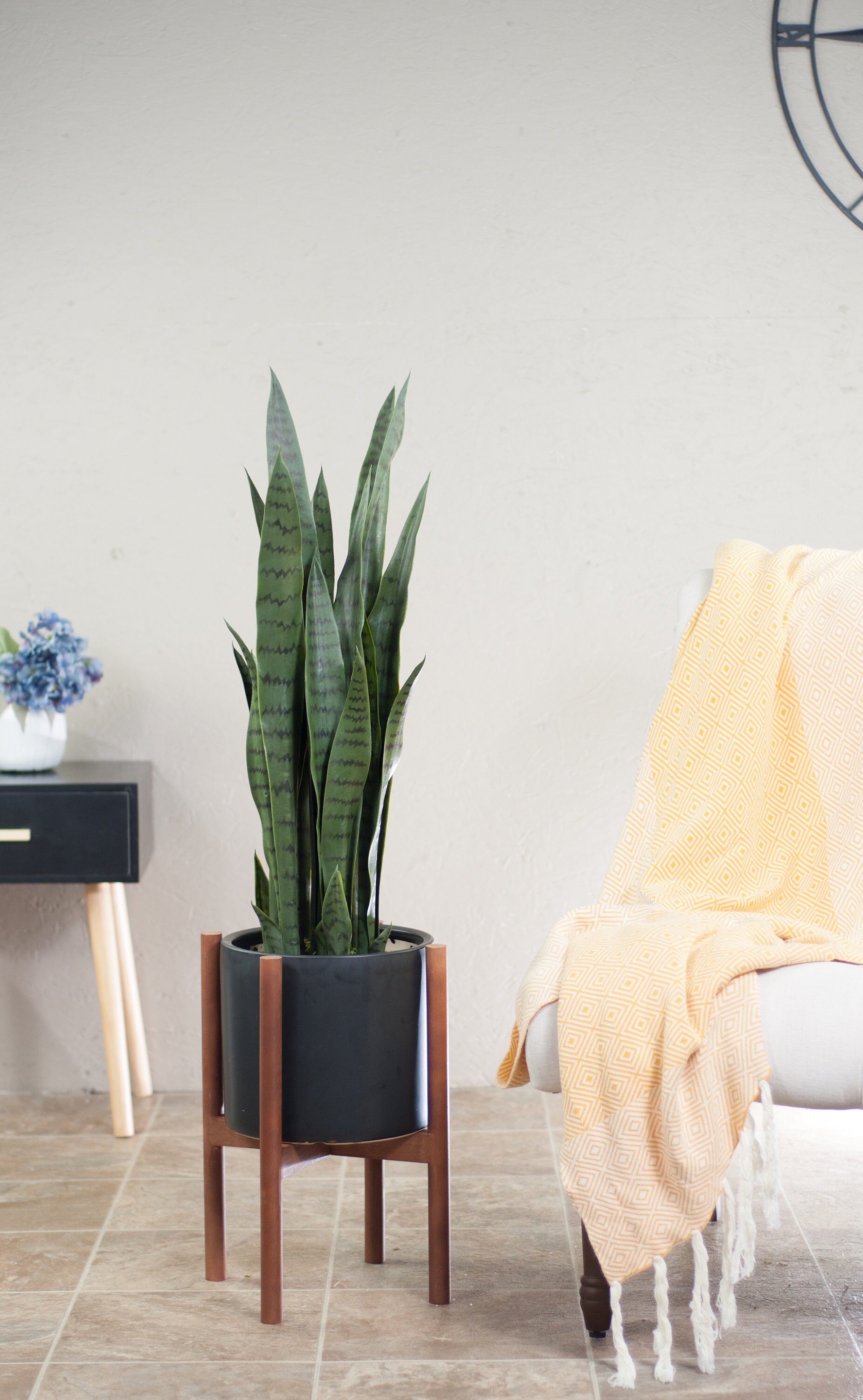 Mid Century Modern Plant Stand and Black Ceramic Planter-indoor
