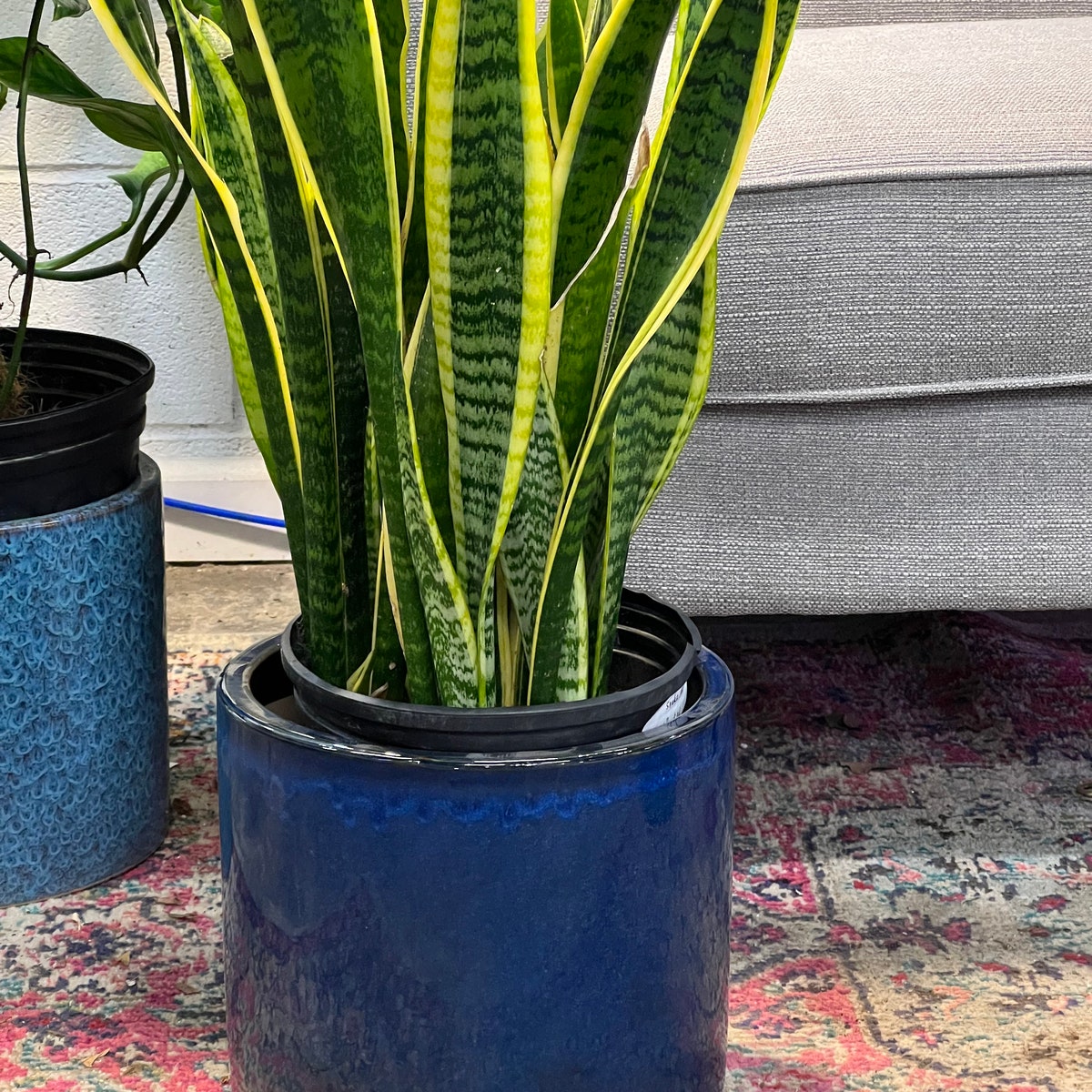 10 Inch Planter ceramic Planter Mid Century Modern 10 Cylinder Pots Indoor Planter Plants Not Included - Etsy