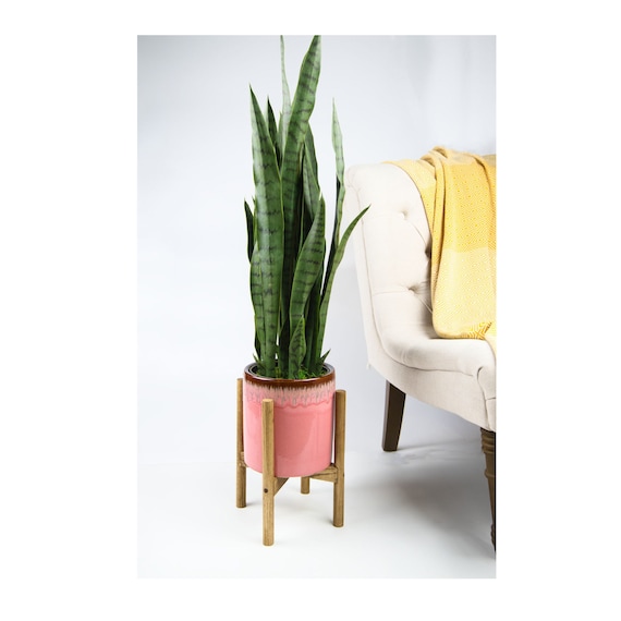 花瓶・フラワースタンド Mid-Century Boxcar Succulent Planters Mid Century Planter With Stand 8