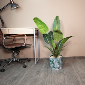 May include: A green leafy plant in a green and white patterned ceramic pot sits on a wood floor next to a brown leather office chair and a desk with a silver lamp.