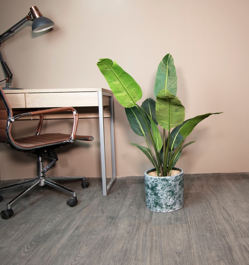 May include: A green leafy plant in a green and white patterned ceramic pot sits on a wood floor next to a brown leather office chair and a desk with a silver lamp.