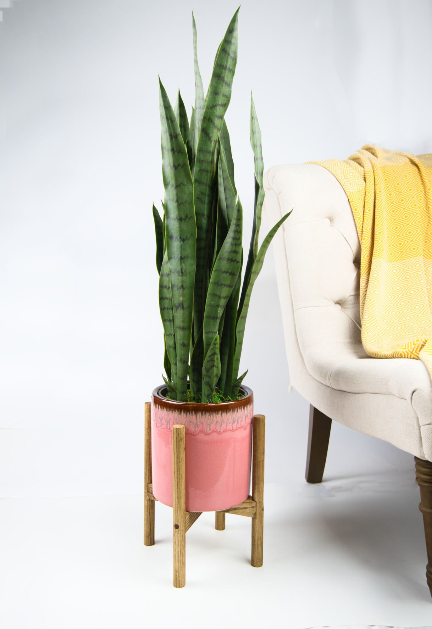 Mid Century Planter With Stand 8