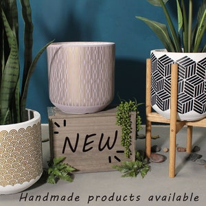 Live Plant Snake Plant Include Pot Gift Set 2 Plants 5 Black and 6'' Gray Ceramic Planters Gift Wrap Box Indoor Planters image 5