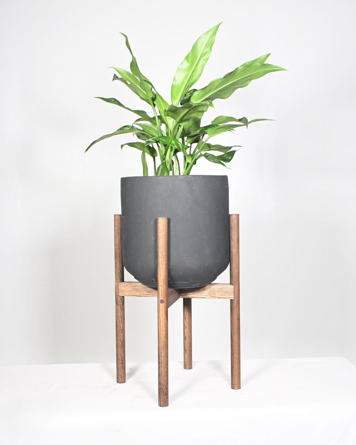 Live Plant Peace Lily Plant with Fiber Pot 10 and Stand Etsy