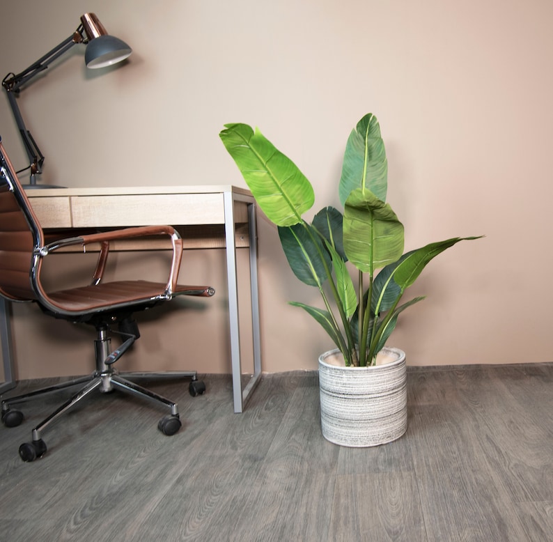 May include: A green leafy plant in a white and gray planter pot sits on a wood floor next to a desk with a brown leather office chair.