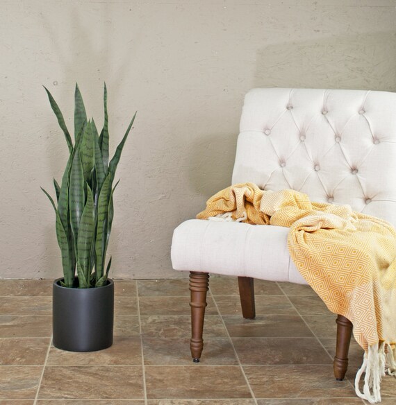 Ceramic Cylinder Pot Mid Century Modern Planter Black Etsy