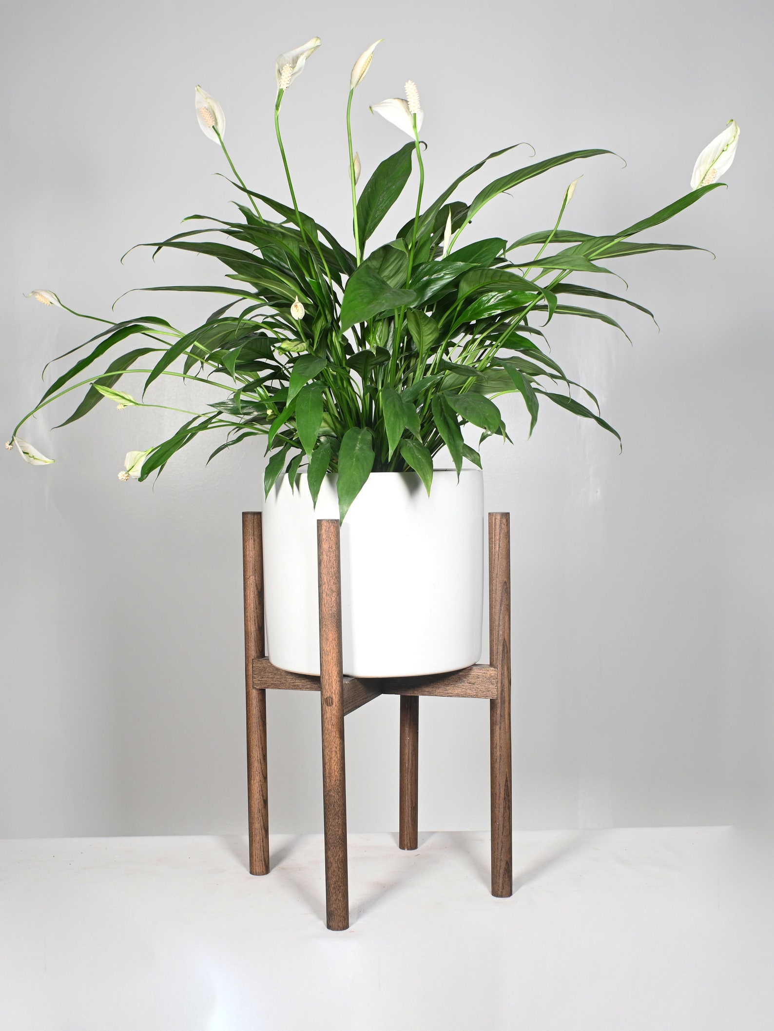 Live Plant Peace Lily With Pot and Stand 10 Ceramic Etsy