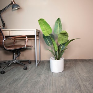 May include: A brown leather office chair with a silver base sits next to a wooden desk with a silver metal frame. A potted green plant with large leaves sits on the floor next to the desk.