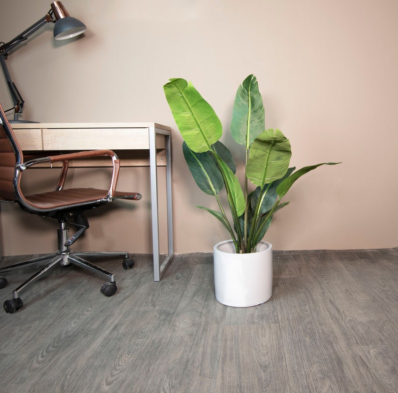 May include: A brown leather office chair with a silver base sits next to a wooden desk with a silver metal frame. A potted green plant with large leaves sits on the floor next to the desk.