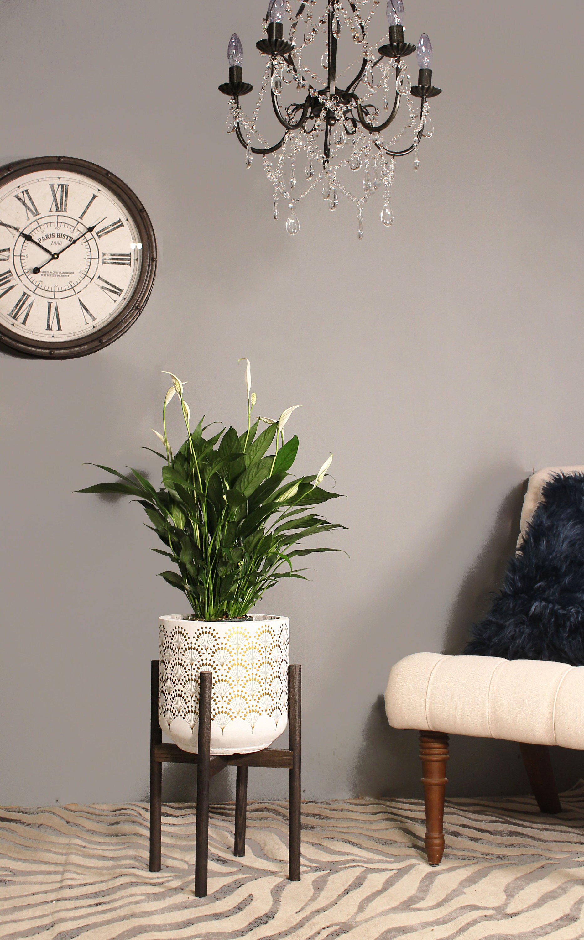 Live Plant Peace Lily with Pot and Stand 10 Clay Etsy