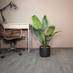 May include: A brown office chair with a black metal base and wheels sits next to a wooden desk with a metal frame. A large green plant in a black pot is on the floor next to the desk.
