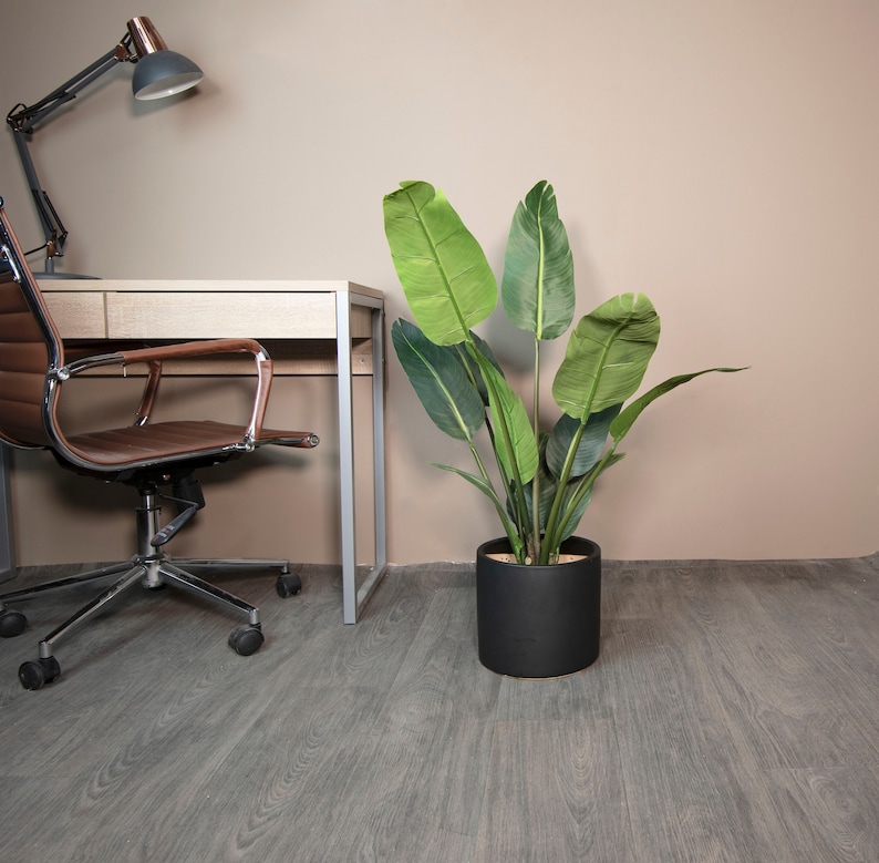 May include: A brown office chair with a black metal base and wheels sits next to a wooden desk with a metal frame. A large green plant in a black pot is on the floor next to the desk.