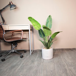 May include: A brown leather office chair with a metal base and wheels sits next to a wooden desk with a metal frame. A potted green plant with large leaves is in the corner of the room.