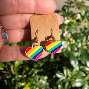 May include: A pair of heart-shaped earrings with a rainbow striped design. The earrings have a gold-colored hook and a colorful enamel finish. The earrings are displayed on a brown card.