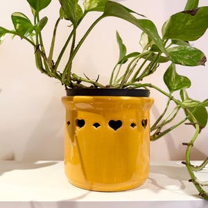 May include: A yellow ceramic plant pot with heart-shaped cutouts, containing a green plant with variegated leaves. A decorative, round, green tray with a butterfly design hangs above. The pot sits on a white shelf.
