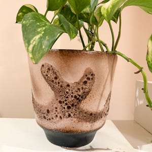 May include: A decorative plant pot with a speckled brown and black design, containing a green plant with variegated leaves. The pot features a black base and a light brown upper section with a distinctive pattern.