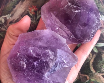 Cristales de amatista en bruto natural de Australia, color morado brillante, para la activación del tercer ojo.