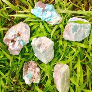 May include: Six rough, natural amazonite stones in various shapes and sizes, with a green and blue color, on a bed of green grass.