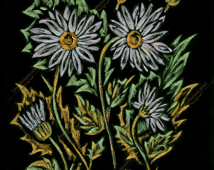 Daisy Daisy Watercolour Painting DIGITAL DOWNLOAD jpg 5x7 PRINTABLE ...
