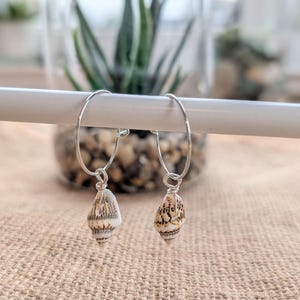 May include: Two silver hoop earrings, each featuring a small, cone-shaped seashell pendant. The shells have a natural pattern of beige and brown spots. The earrings are displayed on a white bar against a blurred background.