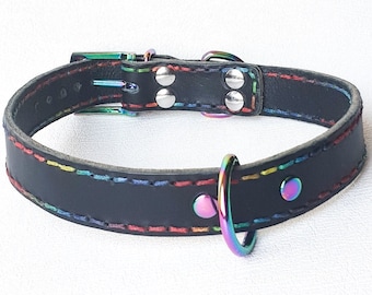 Rainbow themed; Thick leather collar, hand stitched, rainbow thread and hardware, super robust.