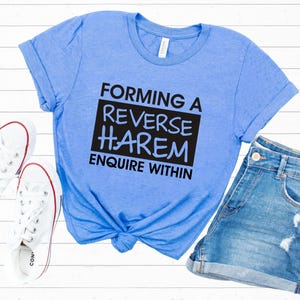 Former une chemise d’amant de livre de harem inversé | Cadeaux de bibliothèque bookish | T-shirt en jersey unisexe