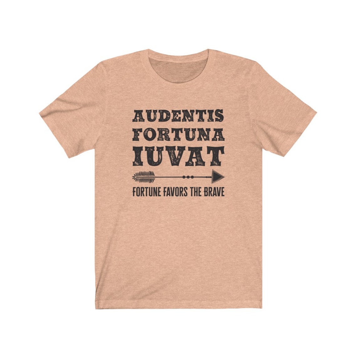 fortune favors the brave in latin fortune favors the brave in latin