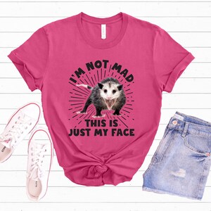 I'm Not Mad Funny Possum Shirt | Animal Lover Possum Gift |  Unisex Jersey T-shirt