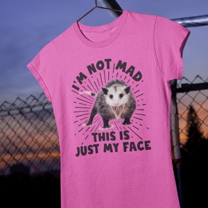 I'm Not Mad Funny Possum Shirt | Animal Lover Possum Gift | Women's Soft Tee