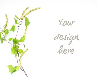 Download Free leaf style stock photo greenery minimalist mockup green digital stock photography styled background rustical download nature image download PSD Template