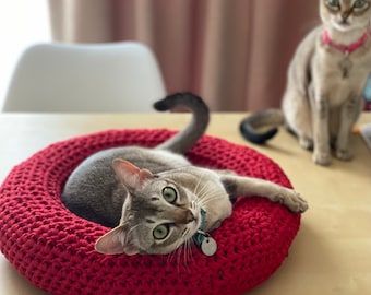 May include: Two grey tabby cats, one lying in a red crocheted cat bed and the other standing on a wooden table. The cat in the bed is looking directly at the camera.