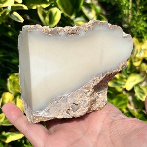 Cacholong White Opal