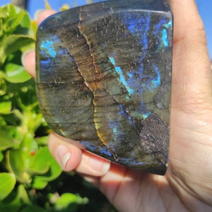 Magnificent piece of spectrolite