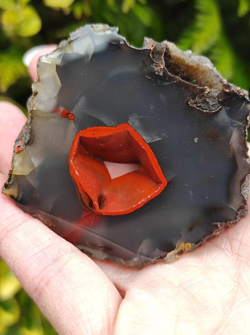 Geode Agate Red Fox