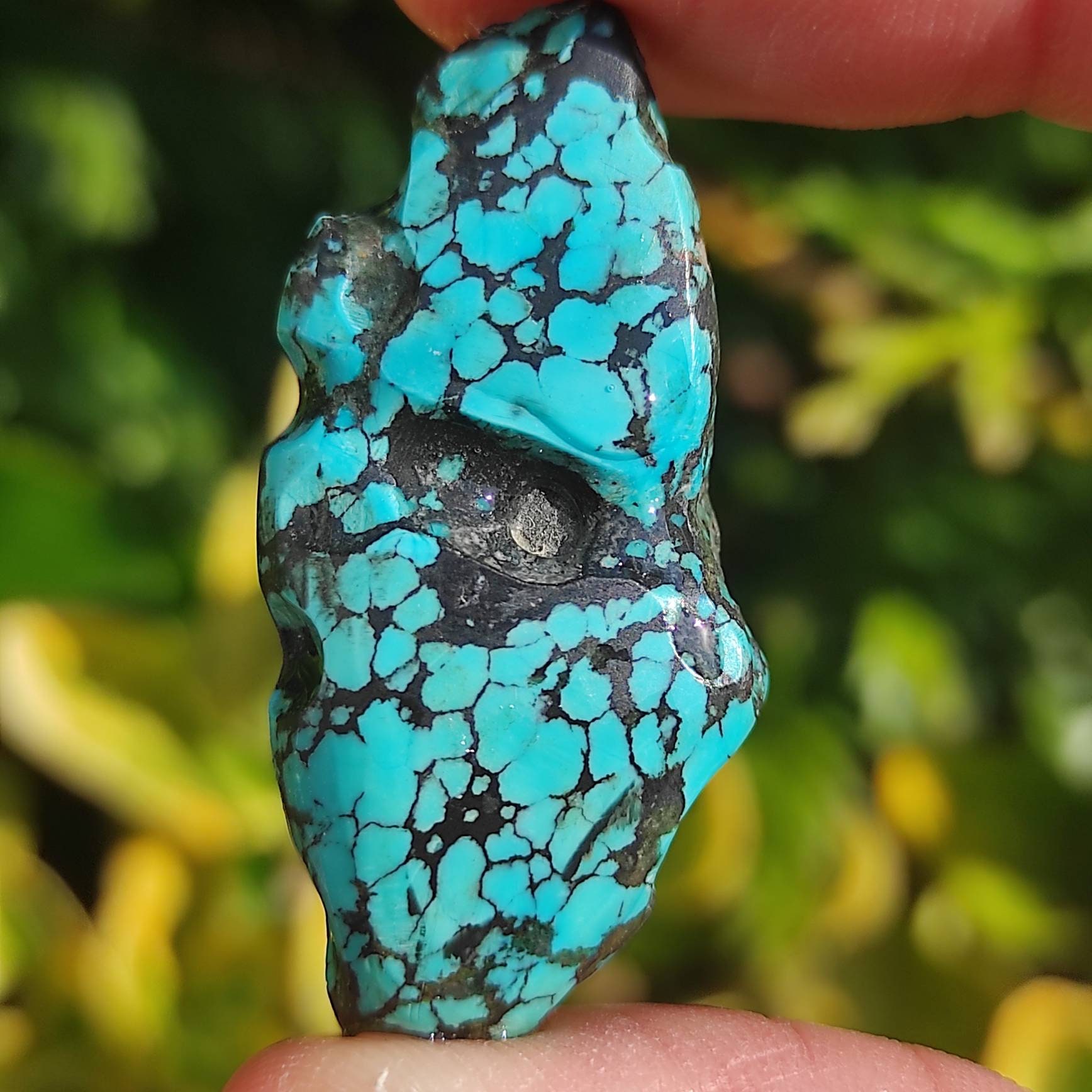 Véritable Turquoise Du Tibet Rare