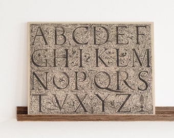 Vintage Alphabet Art, Old School ABC Chart, Vintage School Art, Vintage Font Style, Cottagecore Nursery, Classic Art for Children