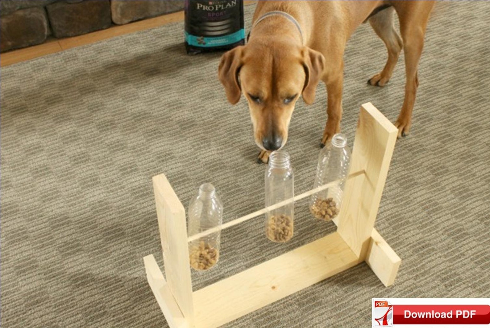 Dog Treat Holder Plan/treat Dispenser Plan/pet Treat Dispenser Plan/dog