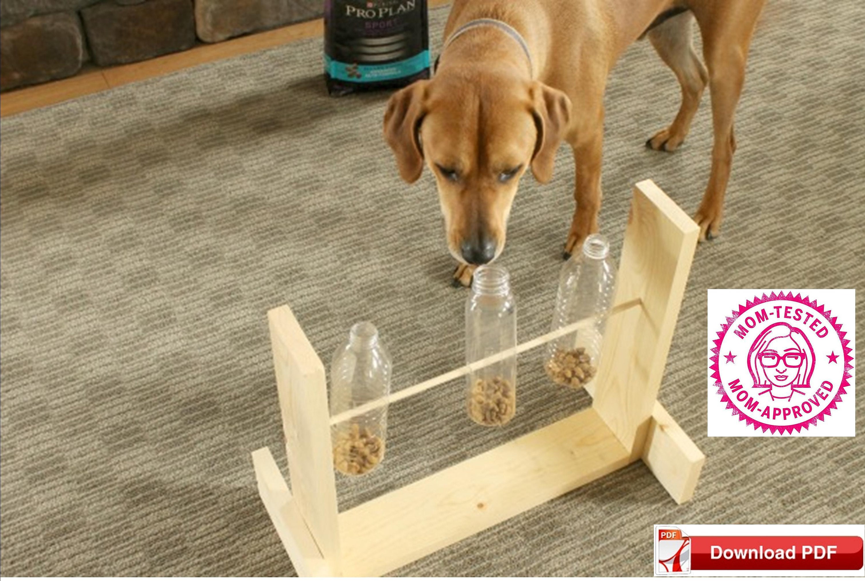 DIY Dog Treat Dispenser to Make at Home 🐶🏠 