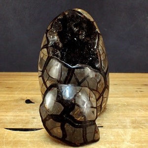 Large septaria & calcite druse free form with lid - 6937.49g - 230 x 165 x 125 mm