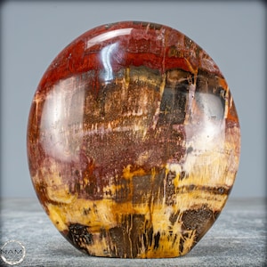 Natural crystal freeform from petrified wood - 934.88g